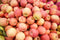 Org Honeycrisp Apples (per lb.) 1# = approx. 2 apples