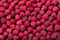 Org 6oz Raspberries (each)