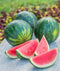 Org Personal Watermelon (each)