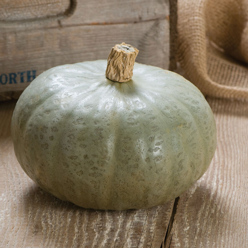 Org Sweet Meat Squash (per pound)