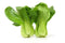 Local Baby Bok Choy (per pound) (1# = 2-3 heads)