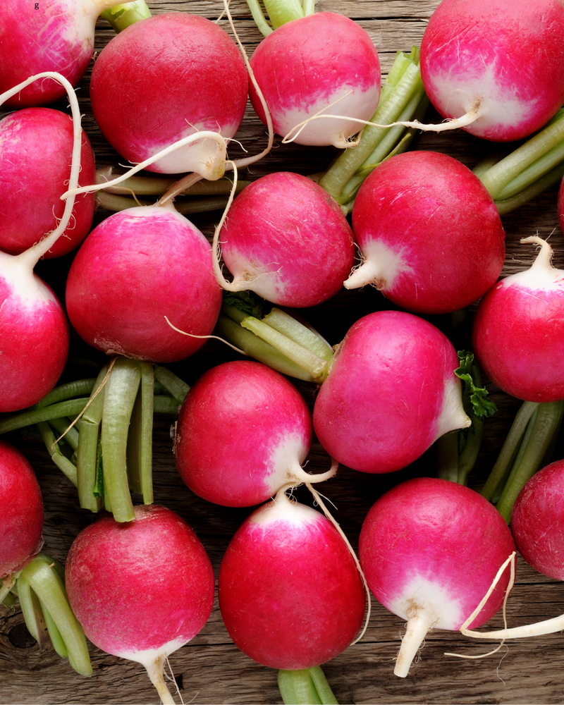 Radish Red Bulk (per lb)