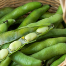 Org Fava Beans (per pound)