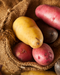 Potatoes 1.5lb Fingerling Medley (each)