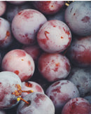 Org Italian Prune Plum (per pound)