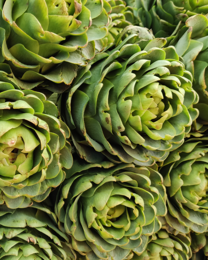 Local Baby Artichokes (per pound)