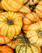 Org Carnival Squash (per pound)