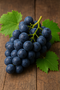 Org Thomcord Grapes (per pound)