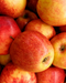 Local Cortland Apples