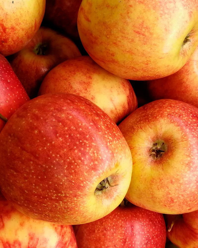 Local Jonagold Apples (per pound)