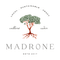 Madrone Cellars Blueberry Cider 500ml