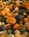 Local Ornamental Gourds (each)