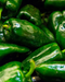 Local Poblano Peppers (per pound)