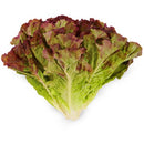 Org Red Leaf Lettuce (each)