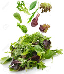 Org Salad Mix (per pound)
