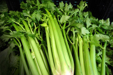 Org Celery (per lb.) 1