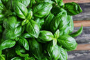 Org Basil (each)