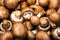Org Crimini Mushrooms (per pound) 1# = approximately 16 mushrooms