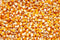 Org Popcorn Yellow Bulk (per lb)