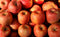 Org Fuji Apples (per lb.) 1#= approx. 2 apples