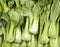 Org Baby Bok Choy (per lb) (1 bunch = approximately 1/3 to 1/2#)