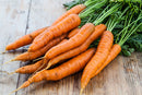 Org Orange Bunched Carrots (each)