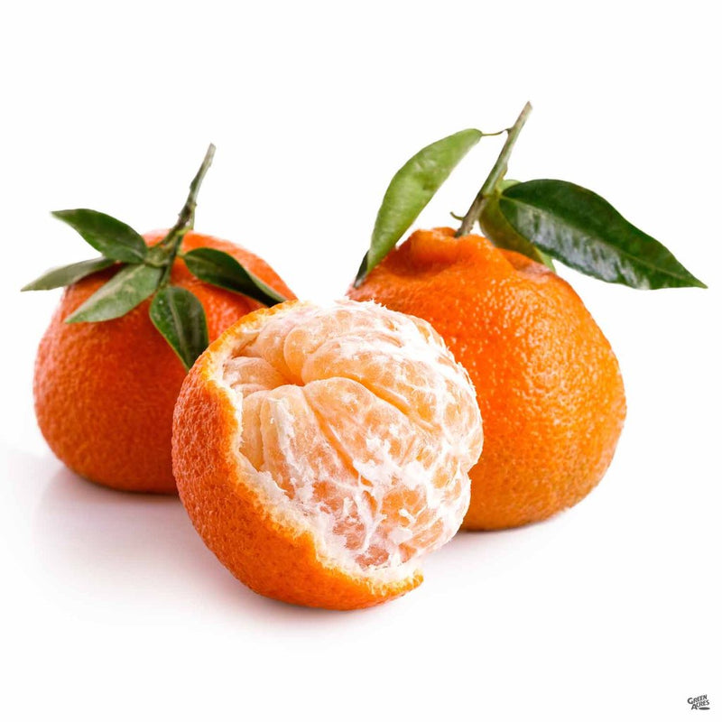 Org Satsumas (per pound)