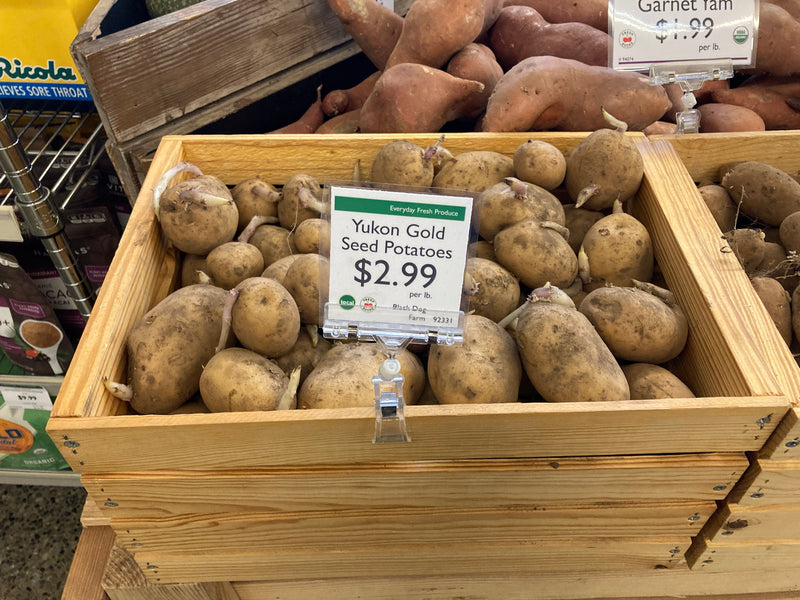 Local Yukon Gold Seed Potato (per pound)