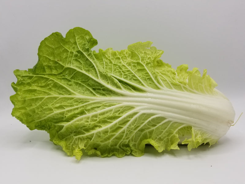 Napa Cabbage Local (per pound) 1 head = approx 1-2#