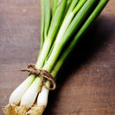 Local Green Onions (each)