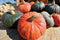 Kabocha Squash Local (per pound)