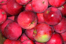 Local Chehalis Apples (per pound)