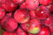 Local  Gravenstein Apples (per pound)