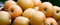 Local Asian Pears (per pound)
