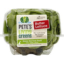 Org Living Butter Lettuce (each)