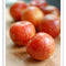 Org Pluot (per pound)