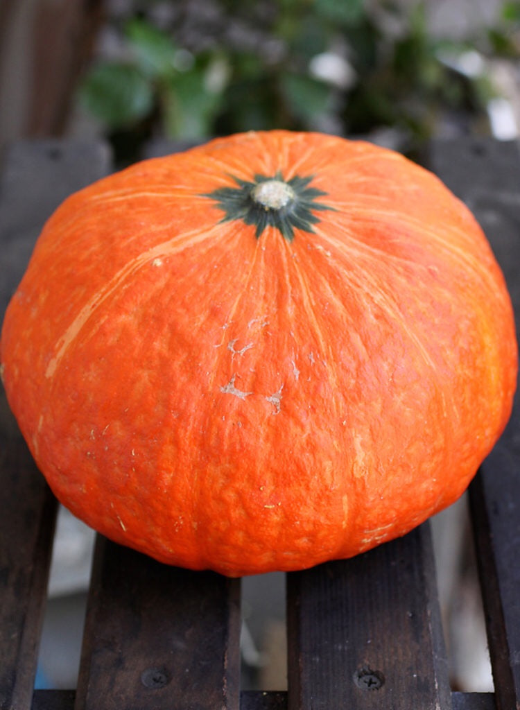 Org Red Kabocha Squash (per pound)