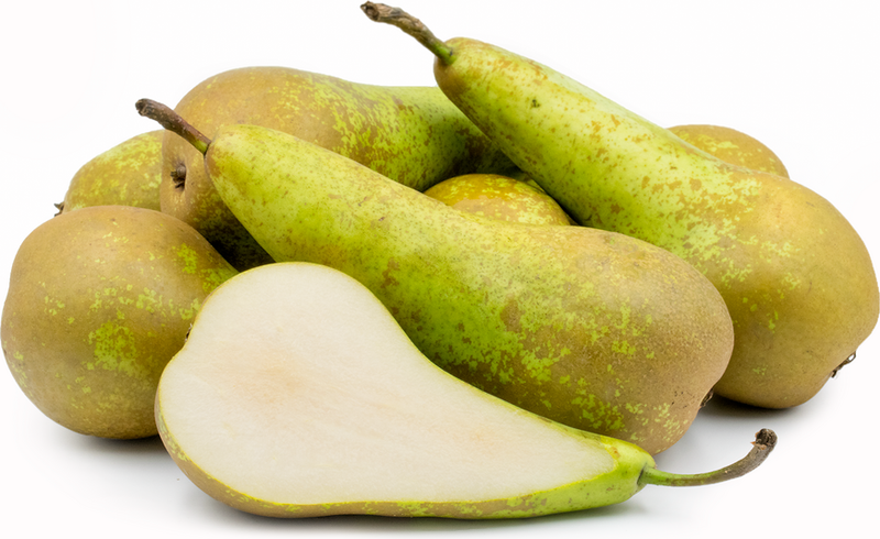 Local Conference Pears (per pound)