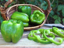 Local Mixed Color Bell Peppers (per pound)