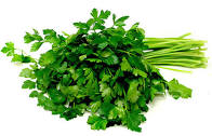 Italian Parsley Local (each)
