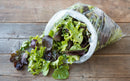 Local Mama Bird 10oz Salad Mix (each)