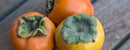 Org Hachiya Persimmons (each)