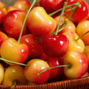 Org Rainier Cherries (per pound)
