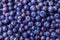 Local Pint Blueberries (each)